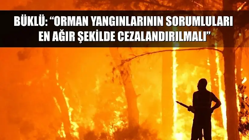 Büklü: 'Orman Yangınlarının Sorumluları En Ağır Şekilde Cezalandırılmalı'