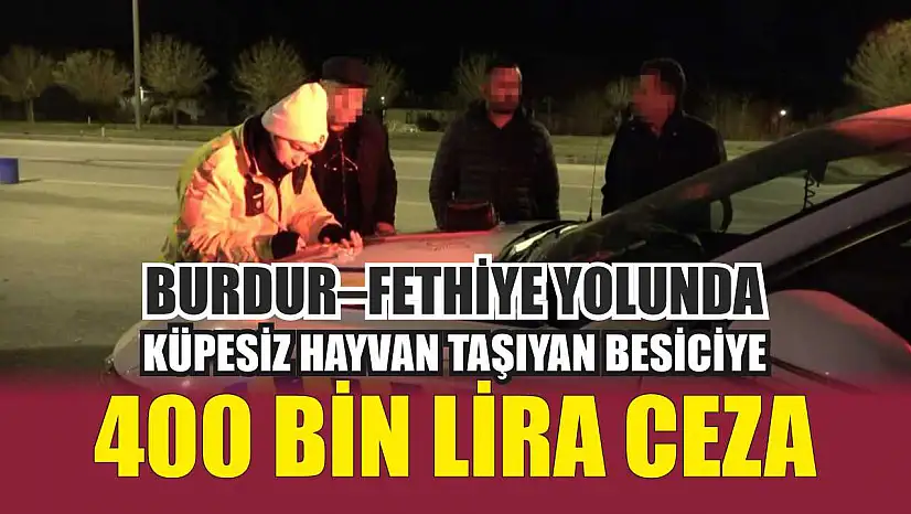 Burdur–Fethiye Yolunda Küpesiz Hayvan Taşıyan Besiciye 400 Bin Lira Ceza