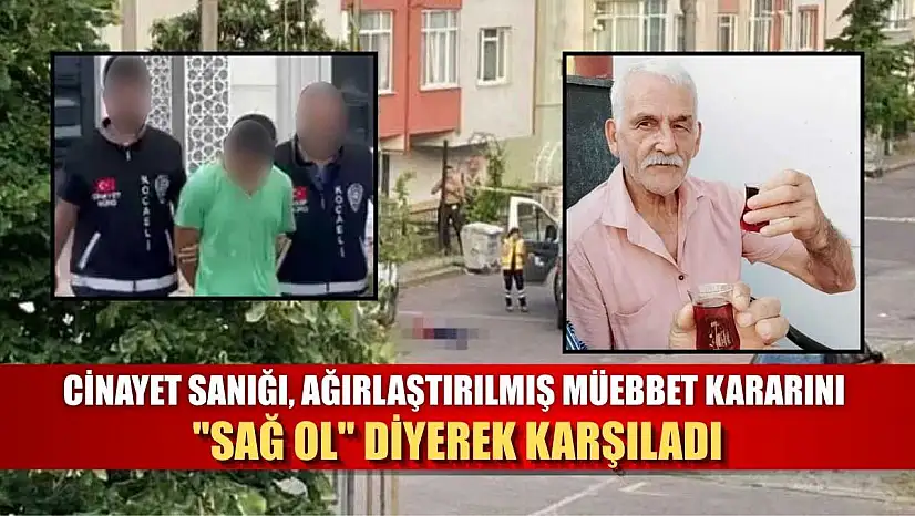 Cinayet sanığı, ağırlaştırılmış müebbet kararını 'Sağ ol' diyerek karşıladı