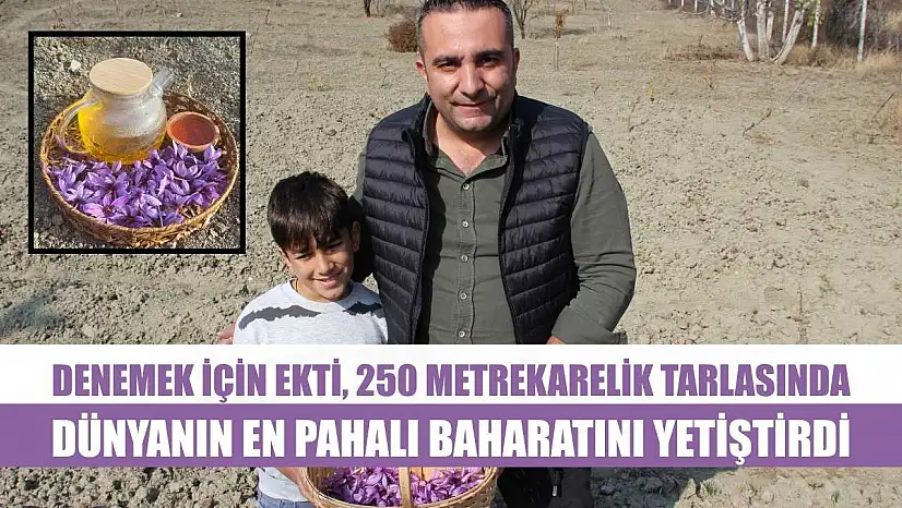 Denemek için ekti, 250 metrekarelik tarlasında dünyanın en pahalı baharatını yetiştirdi