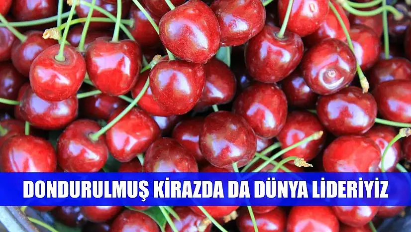 Dondurulmuş kirazda da dünya lideriyiz