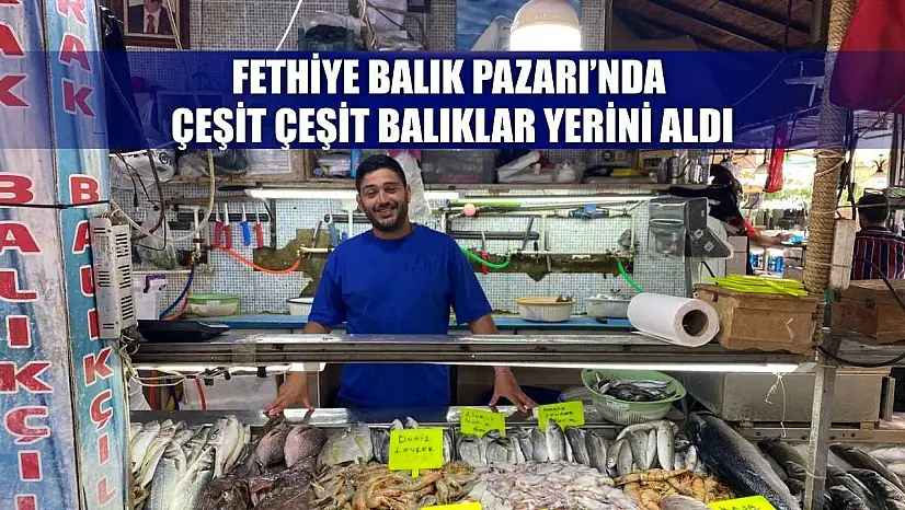 Fethiye Balık Pazarı'nda çeşit çeşit balıklar yerini aldı