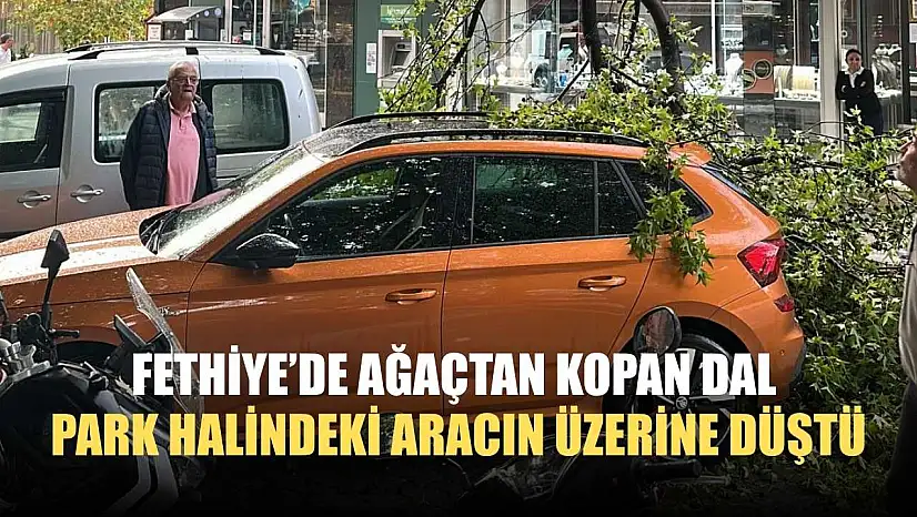 Fethiye'de ağaçtan kopan dal park halindeki aracın üzerine düştü