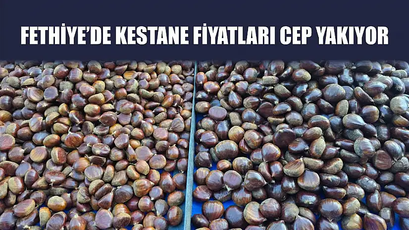 Fethiye'de Kestane Fiyatları Cep Yakıyor