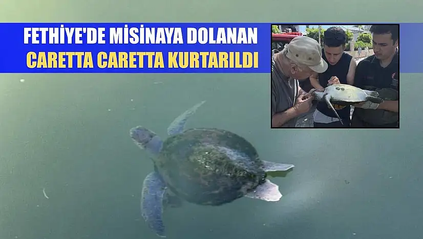 Fethiye'de misinaya dolanan caretta caretta kurtarıldı