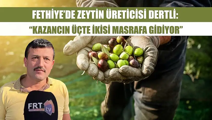 Fethiye'de Zeytin Üreticisi Dertli: 'Kazancın Üçte İkisi Masrafa Gidiyor'