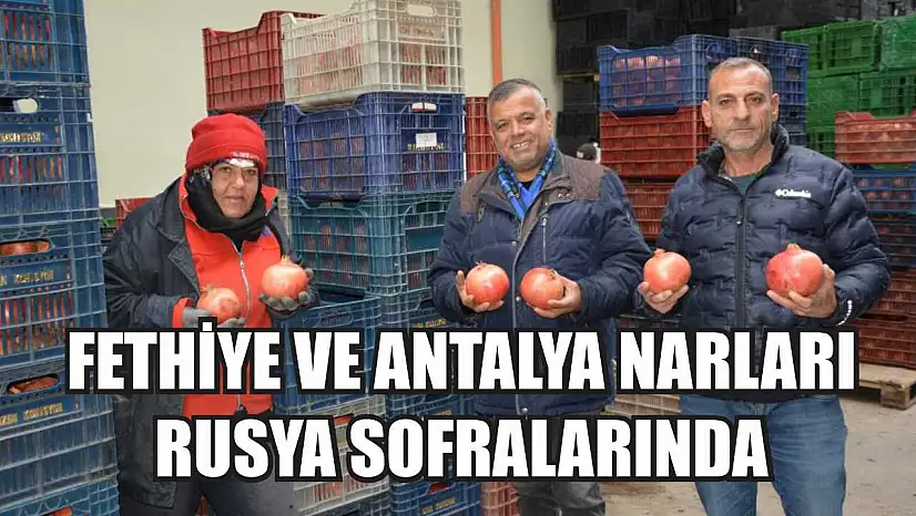 Fethiye ve Antalya Narları Rusya Sofralarında