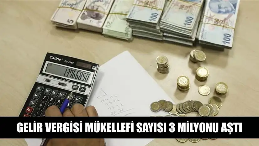 Gelir vergisi mükellefi sayısı 3 milyonu aştı
