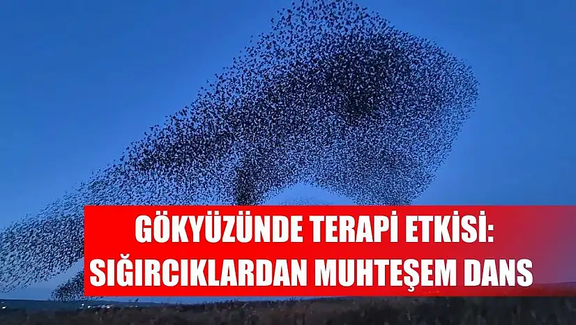 Gökyüzünde terapi etkisi: Sığırcıklardan muhteşem dans