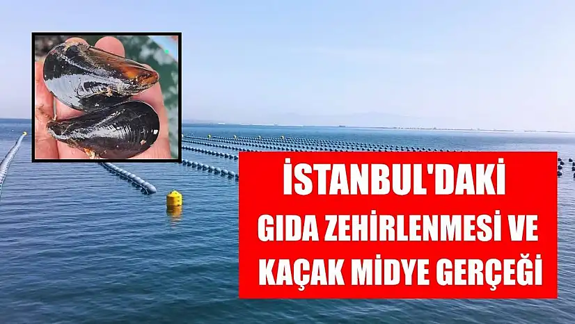 İstanbul'daki gıda zehirlenmesi ve kaçak midye gerçeği