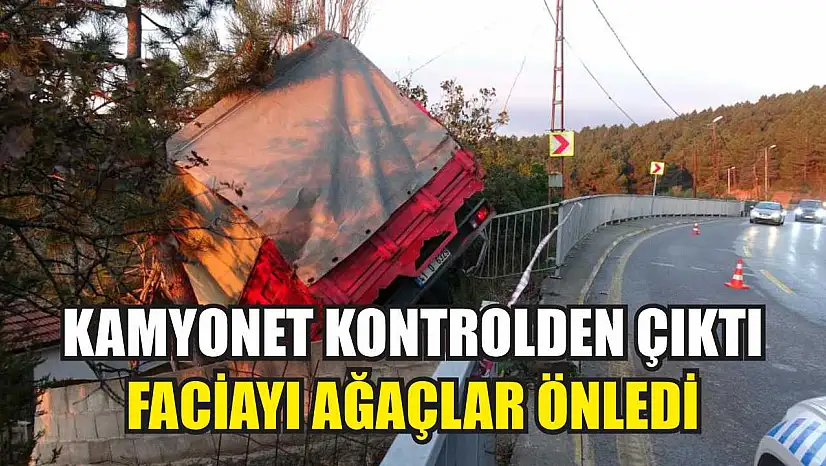 Kamyonet kontrolden çıktı: Faciayı ağaçlar önledi