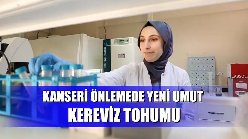 Kanseri önlemede yeni umut: kereviz tohumu