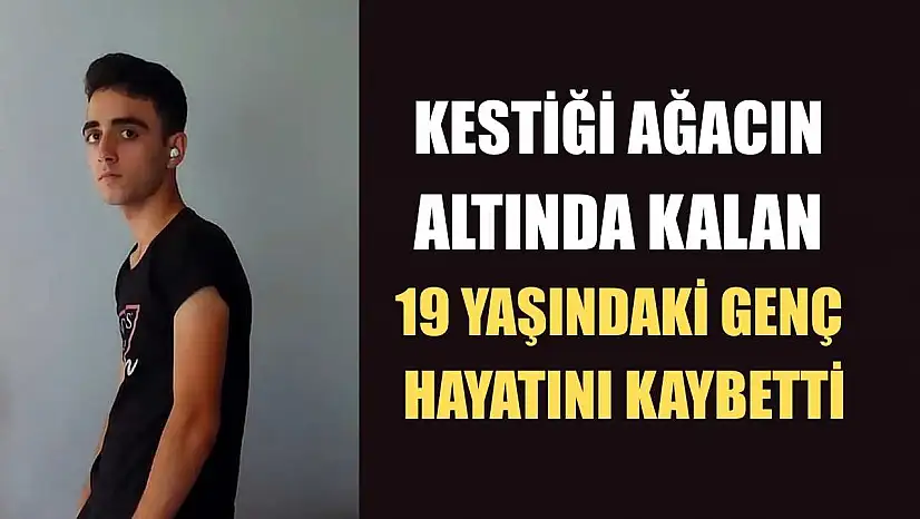 Kestiği ağacın altında kalan 19 yaşındaki genç hayatını kaybetti
