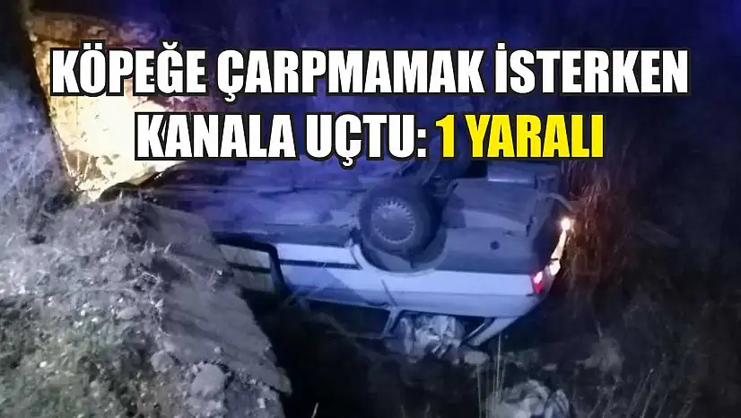 Köpeğe Çarpmamak İsterken Kanala Uçtu: 1 Yaralı