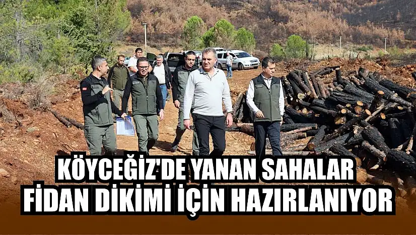 Köyceğiz'de yanan sahalar fidan dikimi için hazırlanıyor