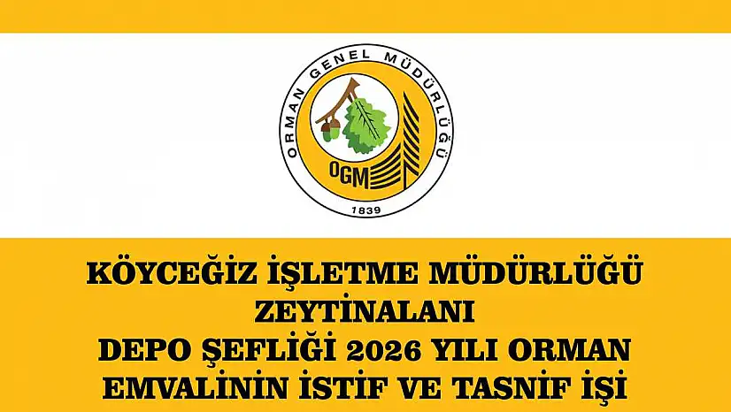KÖYCEĞİZ İŞLETME MÜDÜRLÜĞÜ ZEYTİNALANI DEPO ŞEFLİĞİ 2026 YILI ORMAN EMVALİNİN İSTİF VE TASNİF İŞİ
