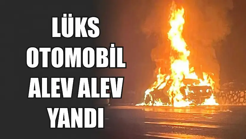 Lüks otomobil alev alev yandı