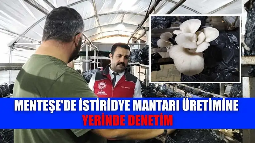 Menteşe'de istiridye mantarı üretimine yerinde denetim