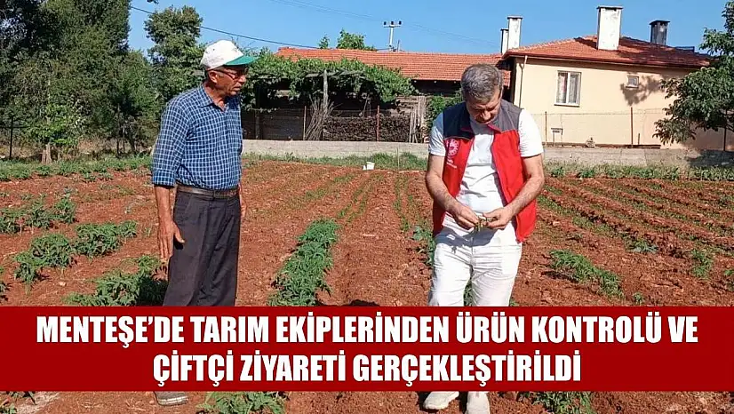 Menteşe'de tarım ekiplerinden ürün kontrolü ve çiftçi ziyareti gerçekleştirildi