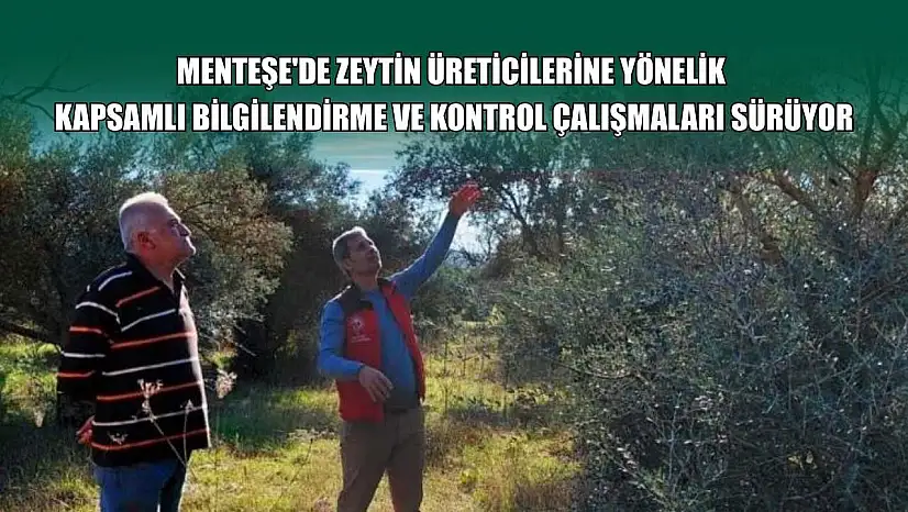 Menteşe'de zeytin üreticilerine yönelik kapsamlı bilgilendirme ve kontrol çalışmaları sürüyor