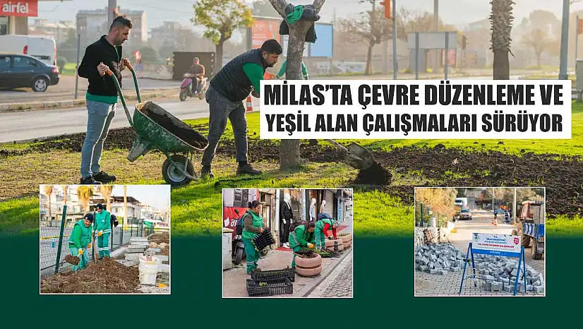 Milas'ta Çevre Düzenleme ve Yeşil Alan Çalışmaları Sürüyor