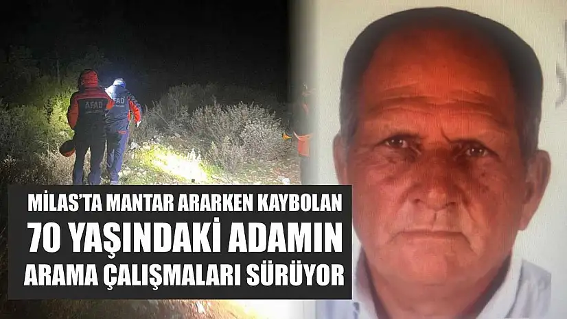 Milas'ta mantar ararken kaybolan 70 yaşındaki adamın arama çalışmaları sürüyor