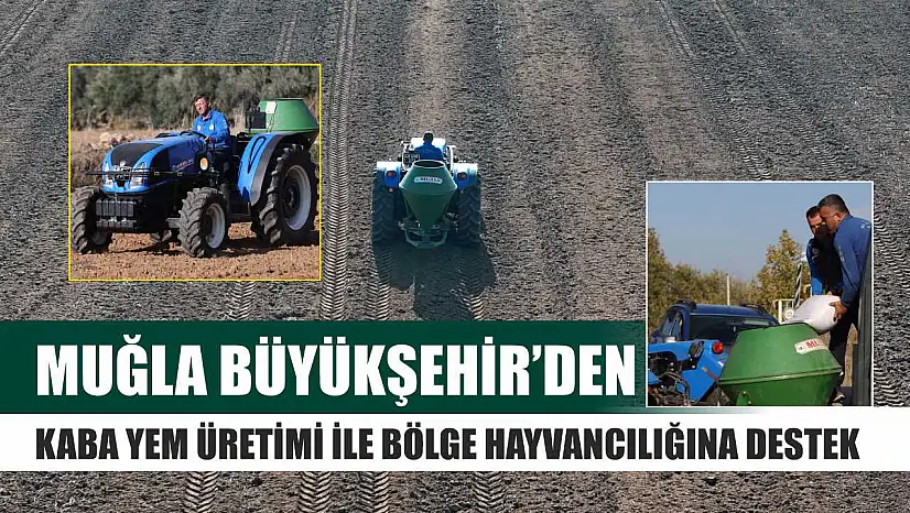 Muğla Büyükşehir'den Kaba Yem Üretimi ile Bölge Hayvancılığına Destek