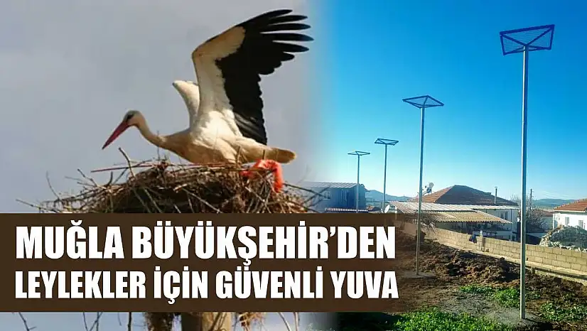 Muğla Büyükşehir'den Leylekler İçin Güvenli Yuva