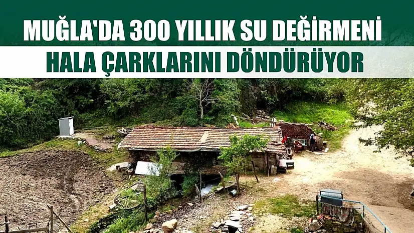 Muğla'da 300 yıllık su değirmeni hala çarklarını döndürüyor