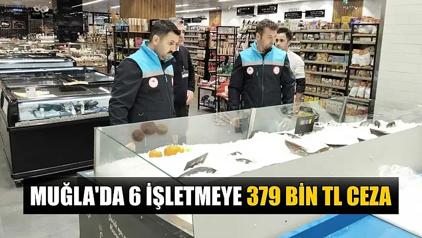 Muğla'da 6 işletmeye 379 bin TL ceza