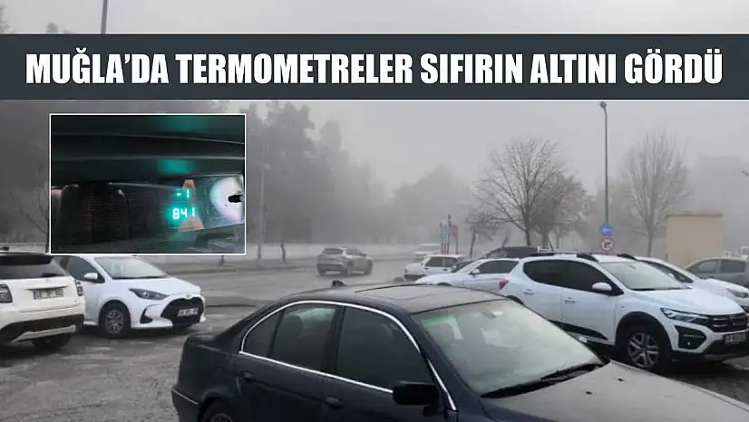 Muğla'da termometreler sıfırın altını gördü