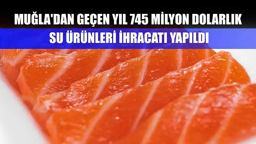 Muğla'dan geçen yıl 745 milyon dolarlık su ürünleri ihracatı yapıldı