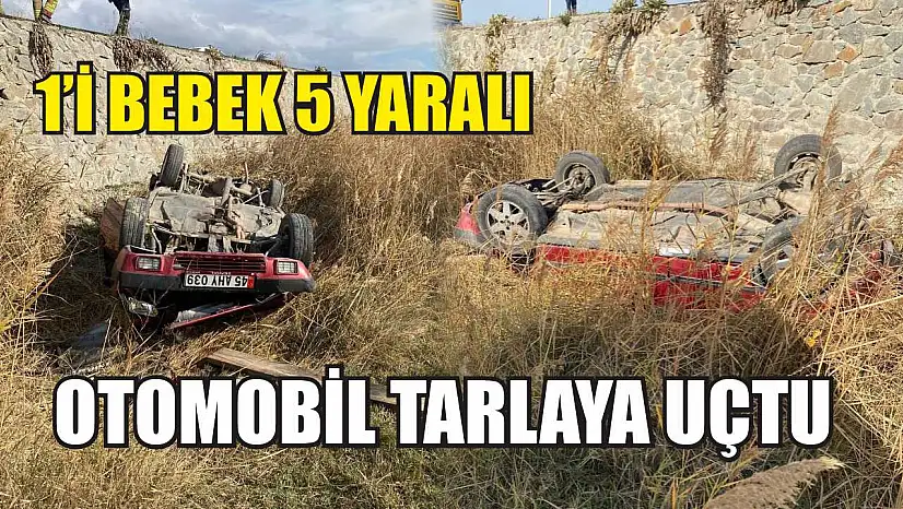 Otomobil tarlaya uçtu: 1'i bebek 5 yaralı