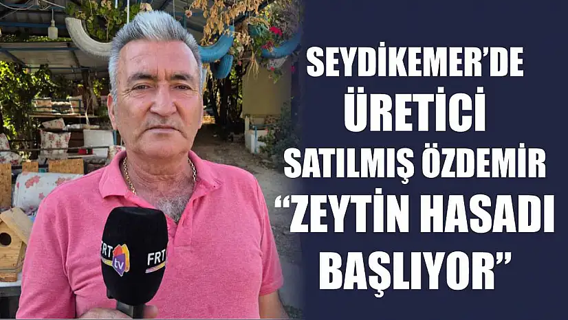 Seydikemer'de Üretici Satılmış Özdemir: 'Zeytin Hasadı Başlıyor'