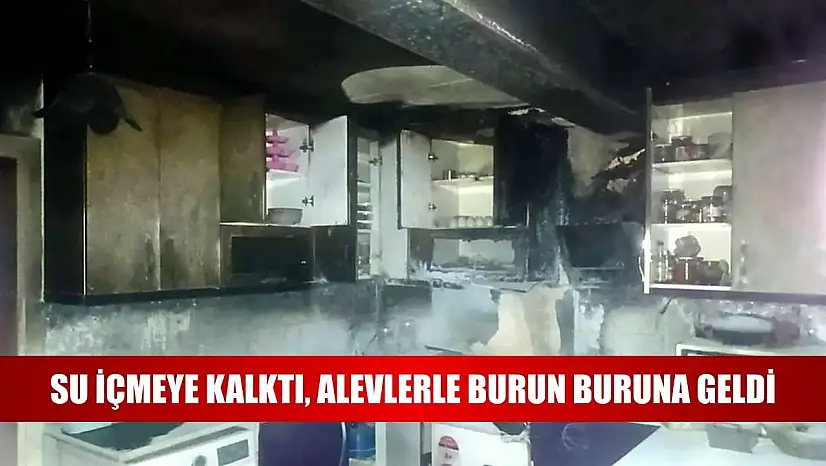 Su içmeye kalktı, alevlerle burun buruna geldi