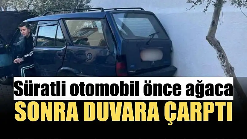 Süratli otomobil önce ağaca sonra duvara çarptı