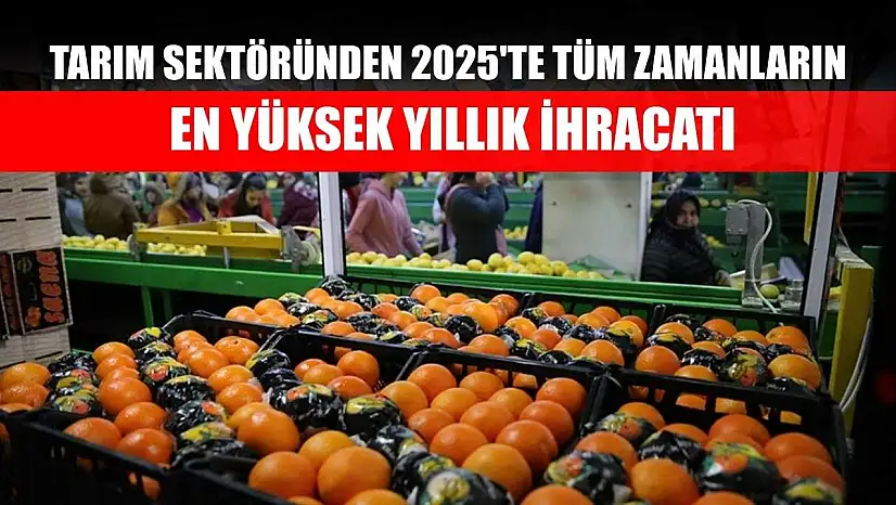 Tarım sektöründen 2025'te tüm zamanların en yüksek yıllık ihracatı