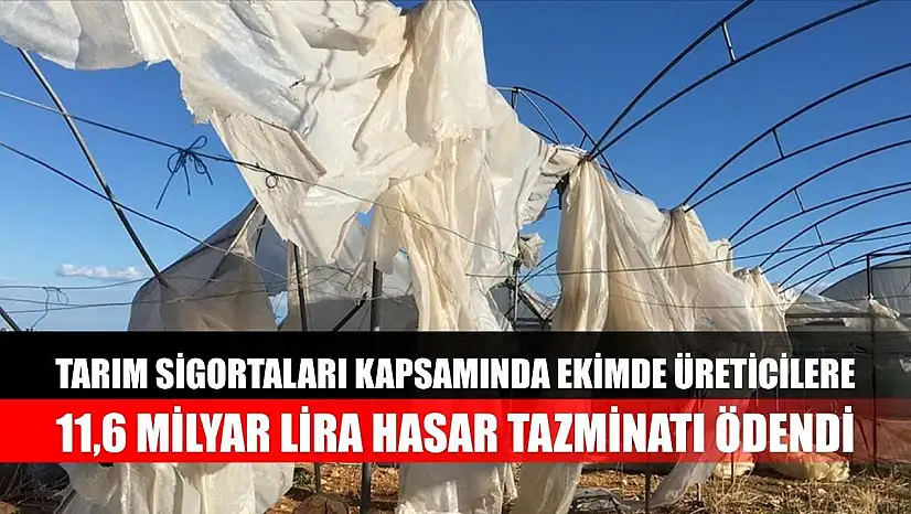 Tarım sigortaları kapsamında ekimde üreticilere 11,6 milyar lira hasar tazminatı ödendi