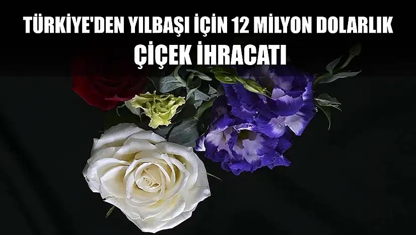 Türkiye'den yılbaşı için 12 milyon dolarlık çiçek ihracatı