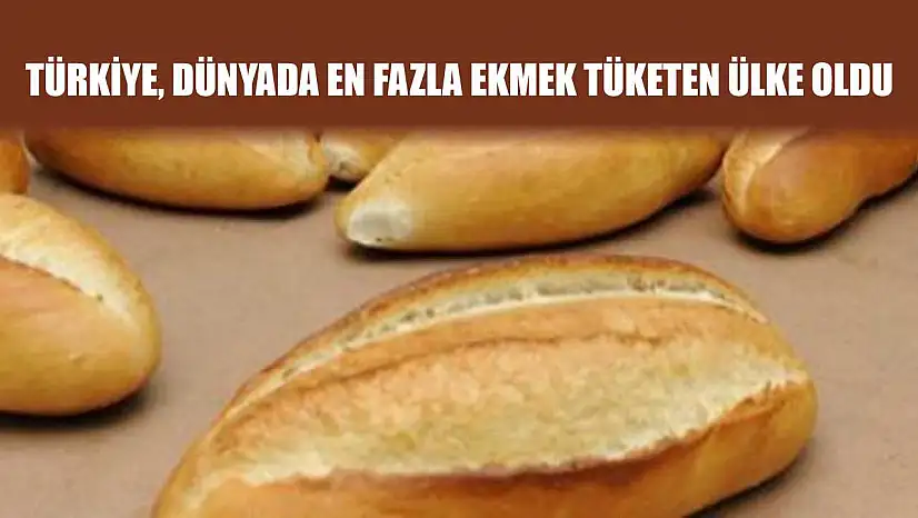 Türkiye, Dünyada En Fazla Ekmek Tüketen Ülke Oldu