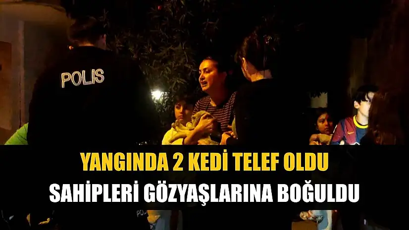 Yangında 2 kedi telef oldu, sahipleri gözyaşlarına boğuldu