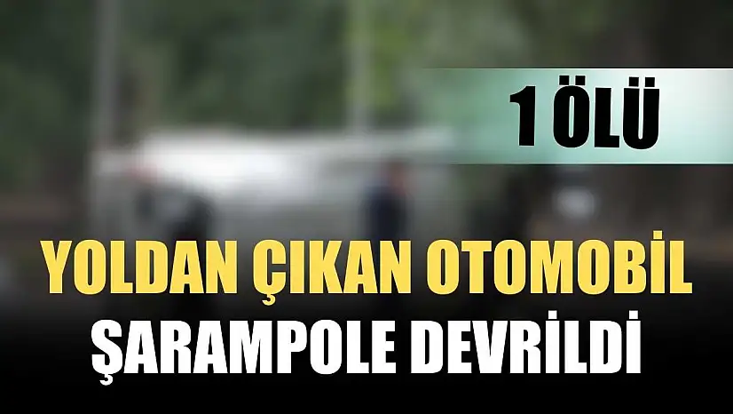 Yoldan çıkan otomobil şarampole devrildi 1 ölü
