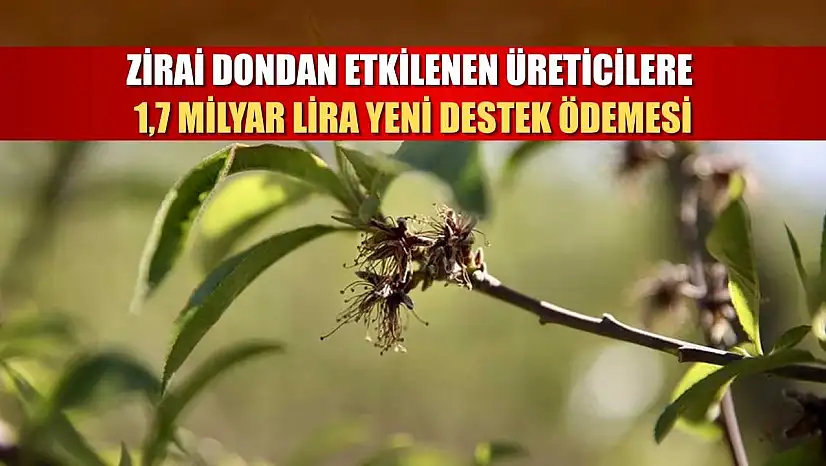 Zirai dondan etkilenen üreticilere 1,7 milyar lira yeni destek ödemesi