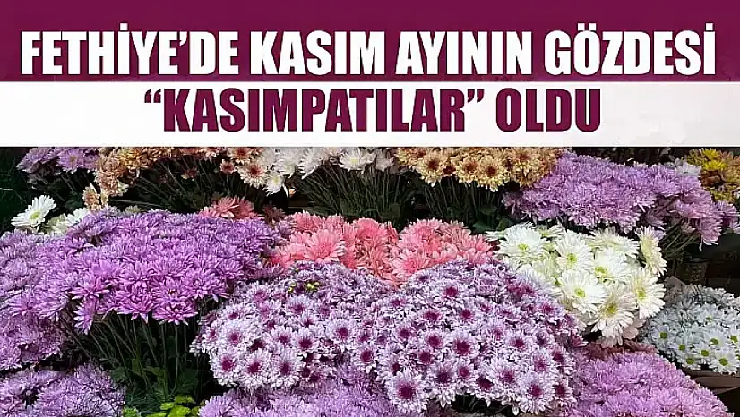 Fethiye'de Kasım ayının gözdesi 'Kasımpatılar' oldu