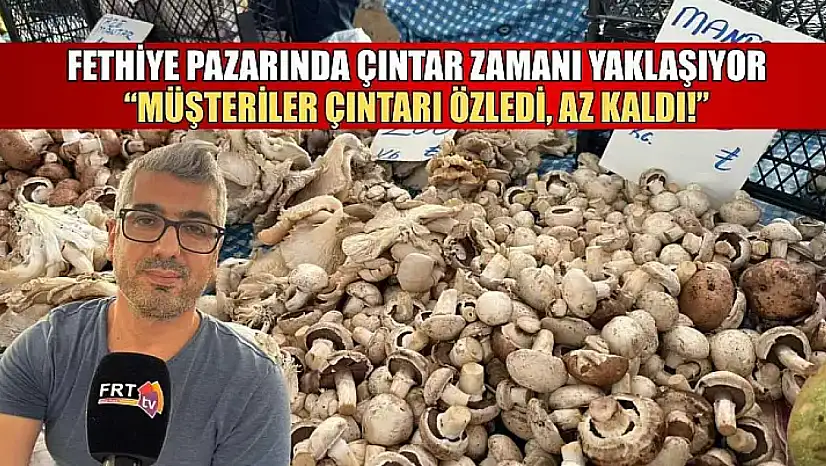 Fethiye pazarında çıntar zamanı yaklaşıyor: 'Müşteriler çıntarı özledi, az kaldı!'