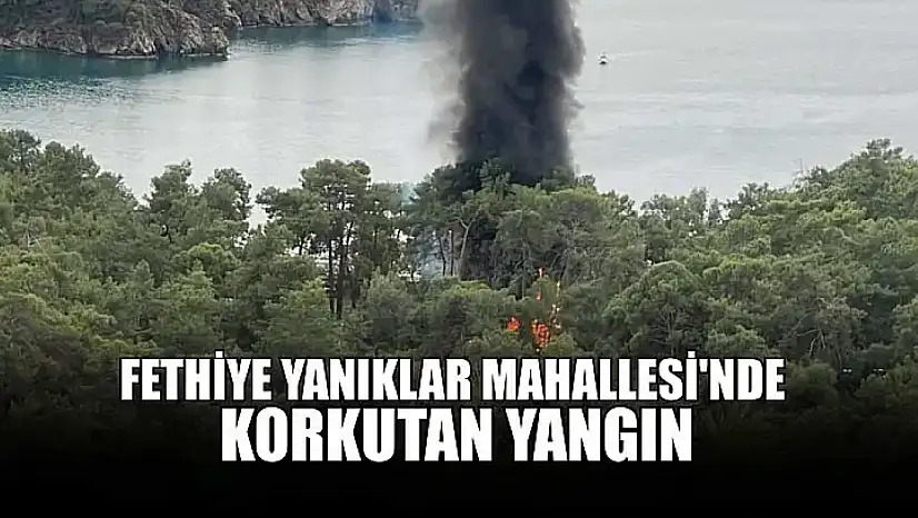 Fethiye Yanıklar Mahallesi'nde korkutan yangın