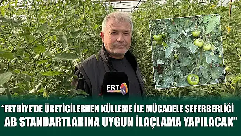 Fethiyede üreticilerden külleme ile mücadele seferberliği:AB Standartlarına uygun ilaçlama yapılacak