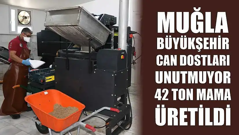 Muğla Büyükşehir Can Dostları Unutmuyor: 42 Ton Mama Üretildi
