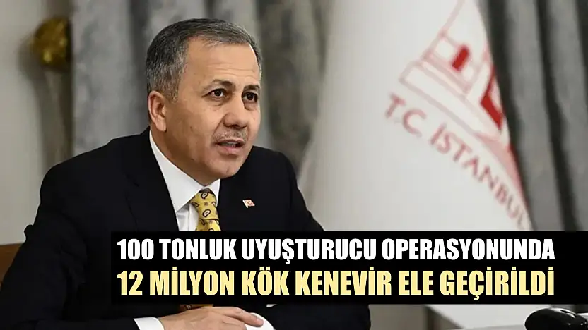100 tonluk uyuşturucu operasyonunda 12 milyon kök kenevir ele geçirildi