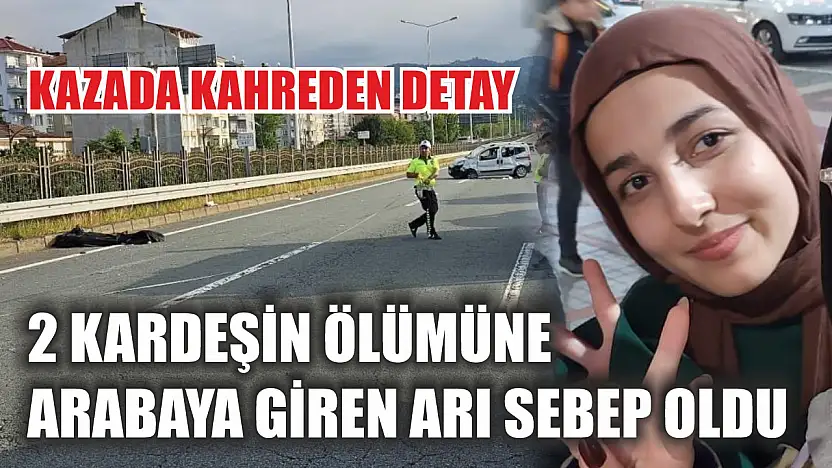 2 kardeşin ölümüne arabaya giren arı sebep oldu